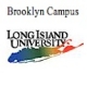 Long Island University-Brooklyn Campus logo
