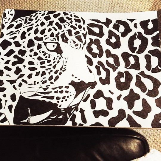 Leopard