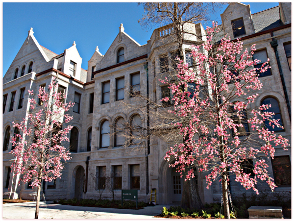 tulane university admissions essay tulane university admissions essay