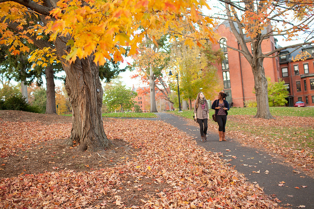 Early Action or Regular Decision for a College Application