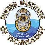 Divers Institute of Technology logo