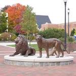 Widener University-Delaware Campus logo