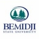 Bemidji State University logo