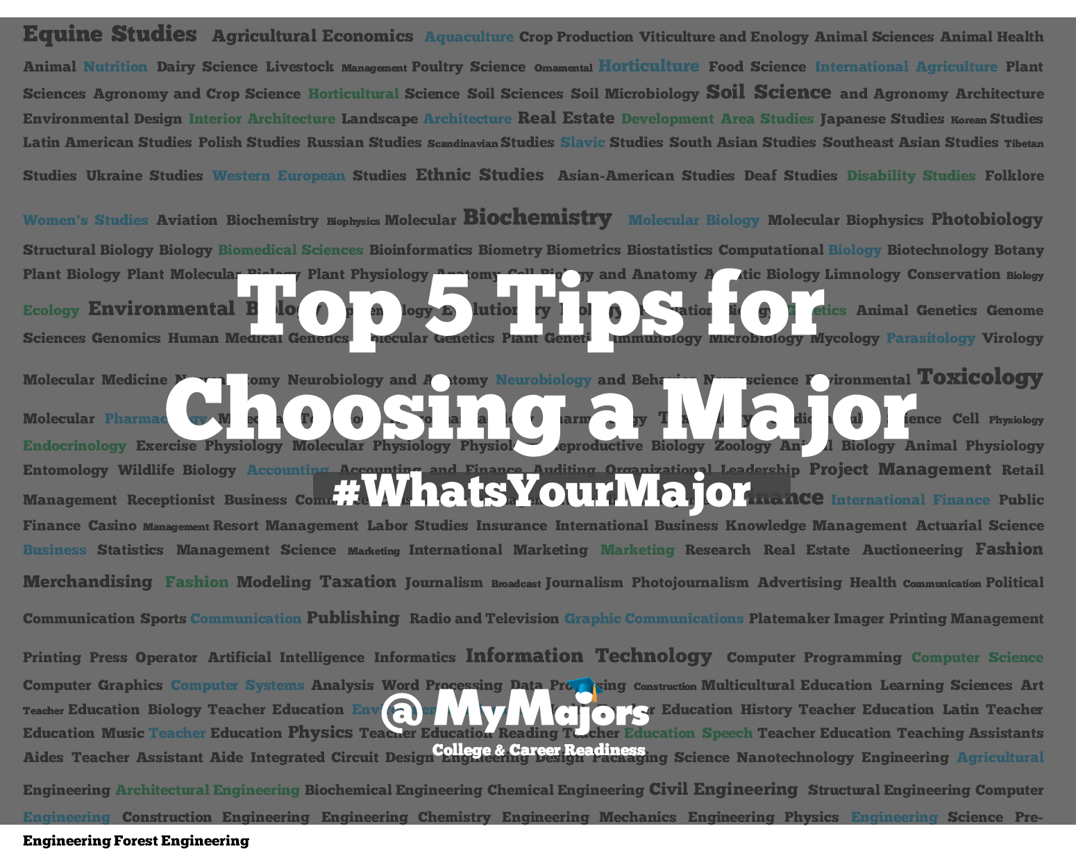 Top 5 Tips to Find a Major