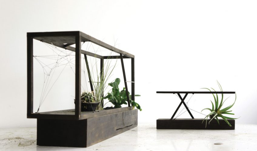 Low Line Underground Park Special Edition Terrariums 
for their Kickstarter Campaign (June 2015)