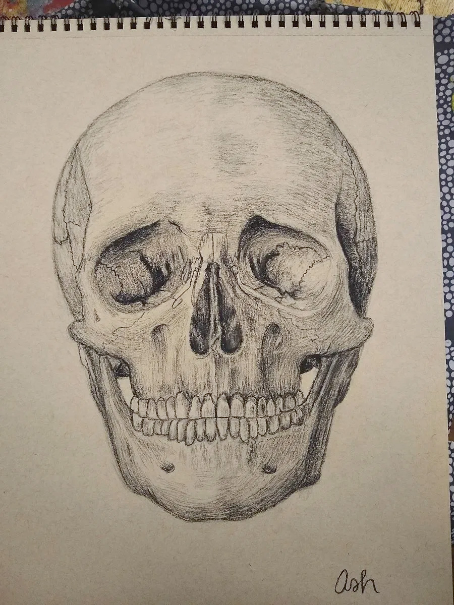 Human Skull