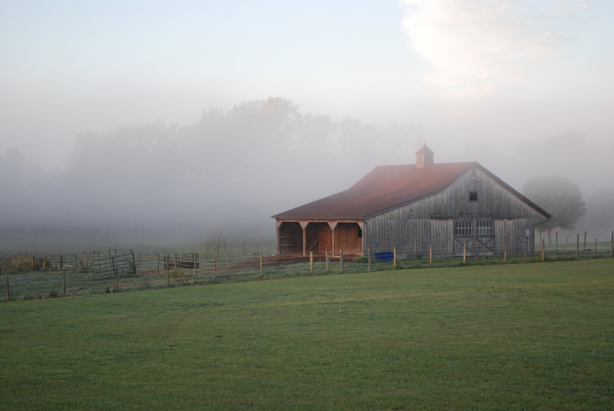 Barn in Morning Fog
