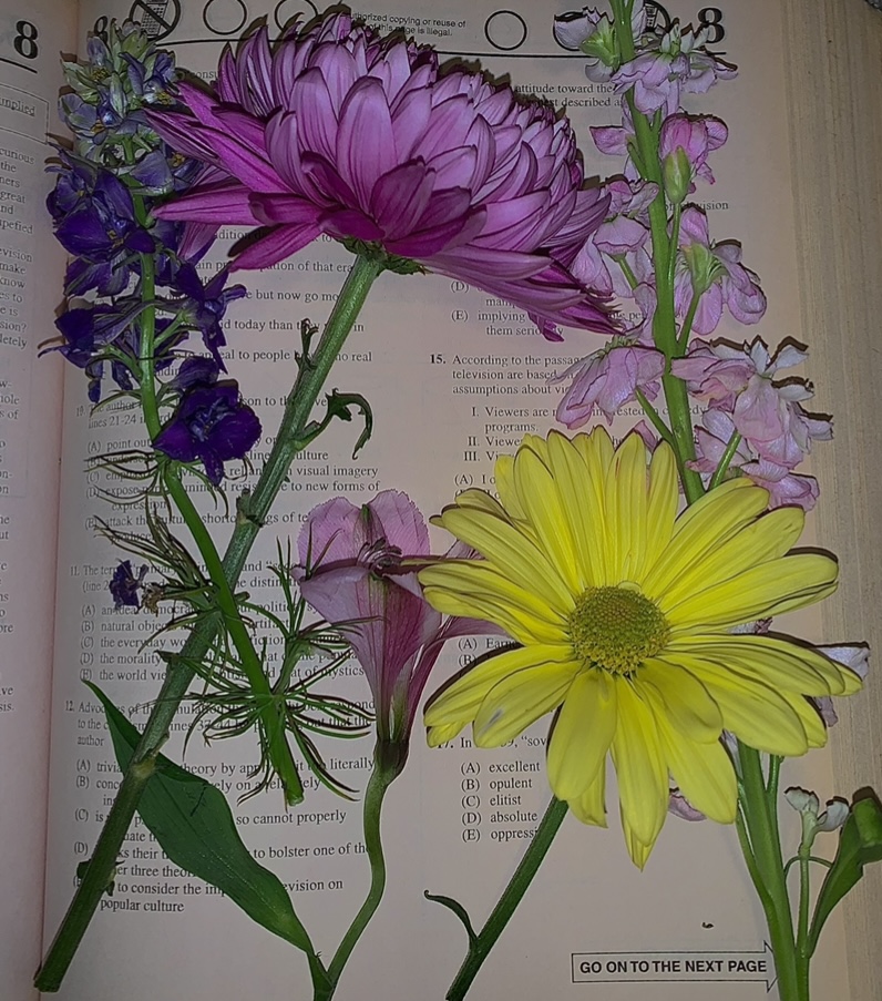 Flowers While I Study