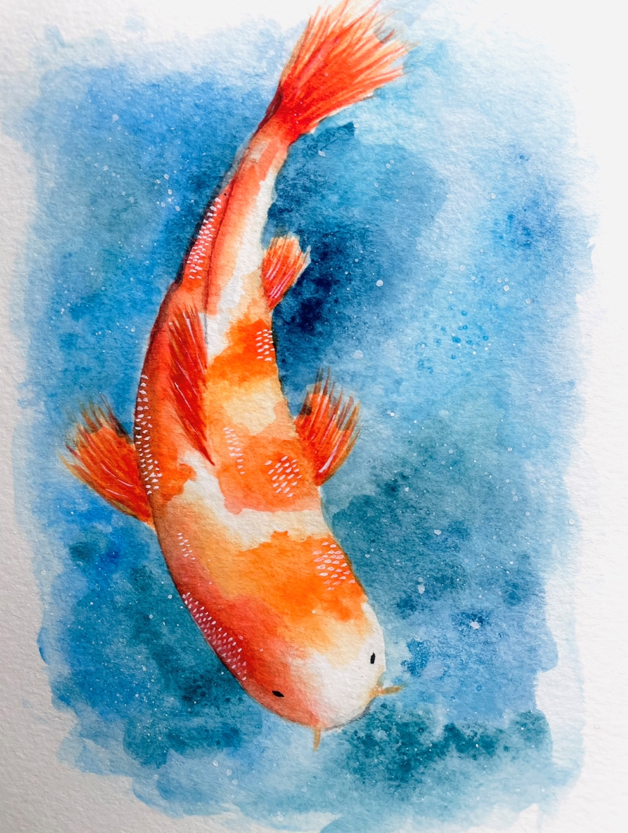 koi