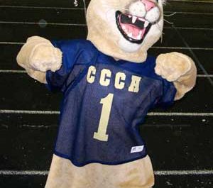 Cody The Cougar