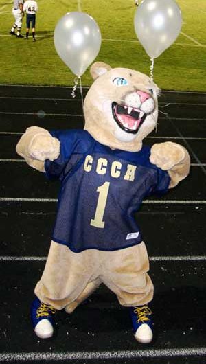 Cody the Cougar