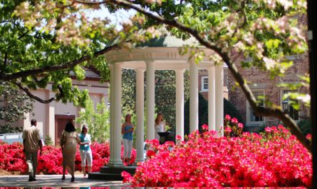 UNC Chapel Hill